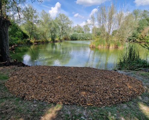 ash ground lake hero photo